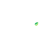 Bitfinex