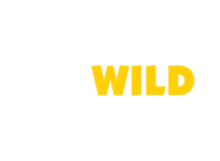 GoWild Casino