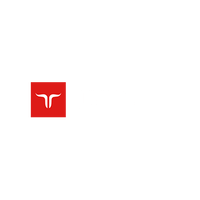 Jetbull