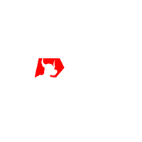 xm.com