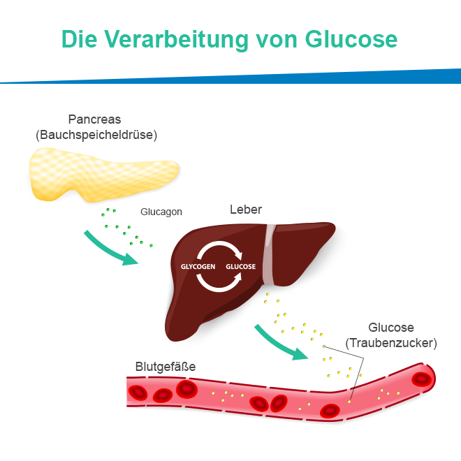 Antidiabetikum Metformin