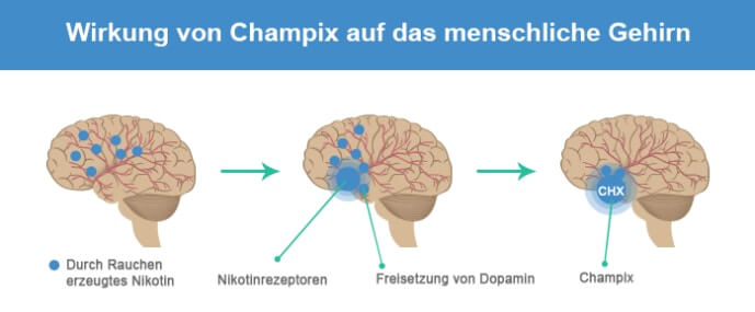 Wirkung von Champix